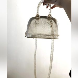 clear sliver jelly purse